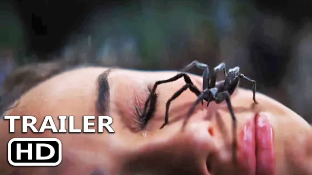Spider Island (film) artwork