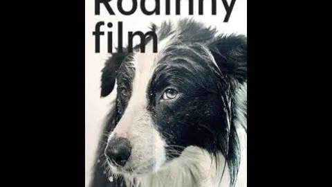 Family Film artwork