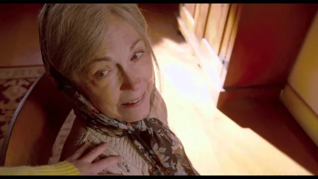 The Visit (2015 American film) artwork