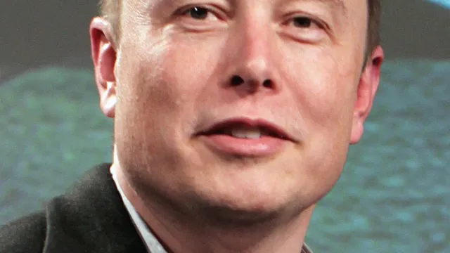Musk (film) artwork