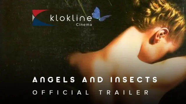 Angels and Insects artwork