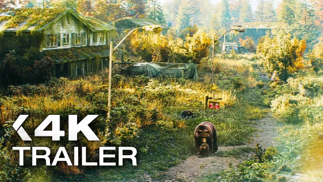 The Last House artwork
