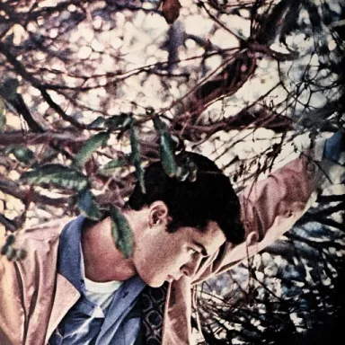 Richard Beymer profile photo