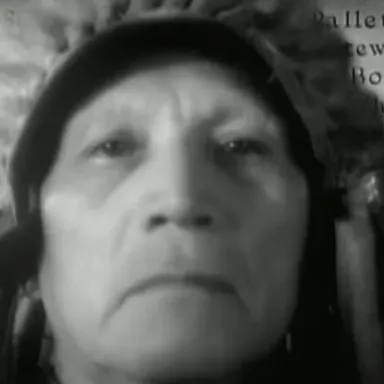 Chief John Big Tree profile photo