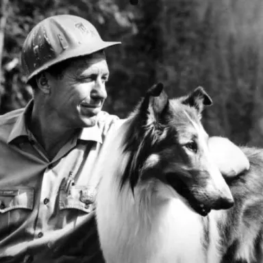 Robert Bray profile photo