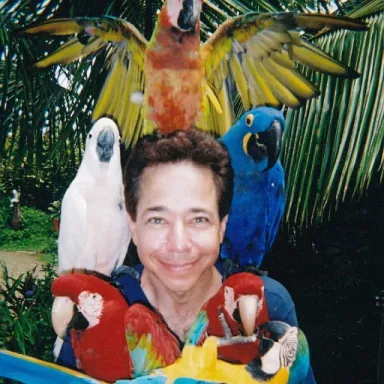Joey Camen profile photo