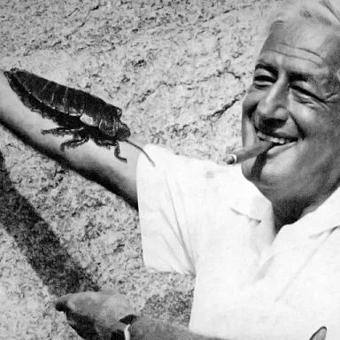 William Castle profile photo