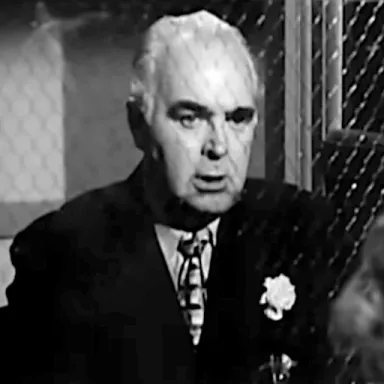 Harry Cheshire profile photo