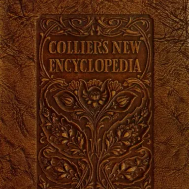 Reno Collier profile photo
