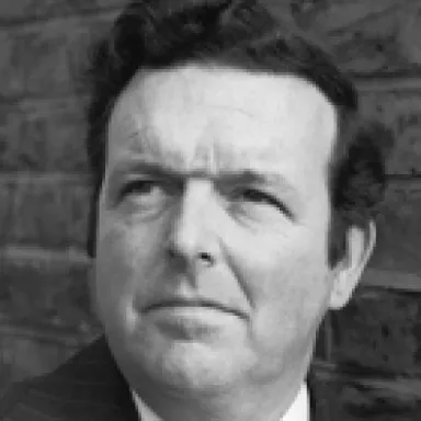 David Healy (actor) profile photo