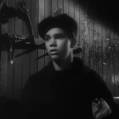 Darryl Hickman profile photo