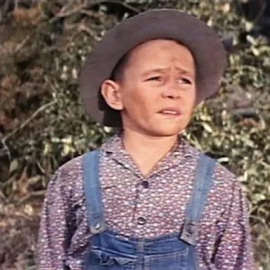 Tim Hovey profile photo