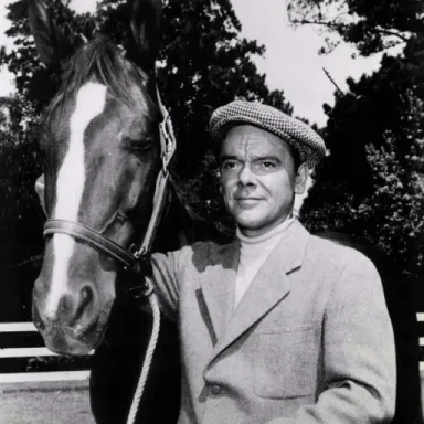 James McCallion profile photo