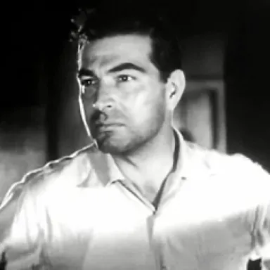 Stephen McNally profile photo