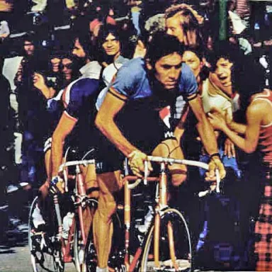 Ken Merckx profile photo