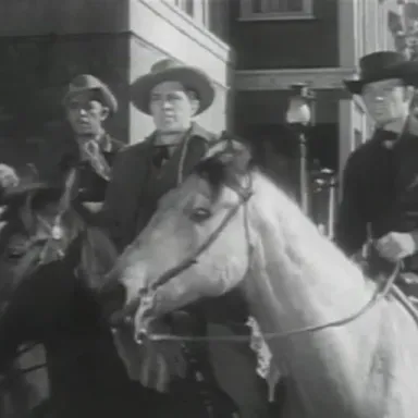William Murphy (actor) profile photo