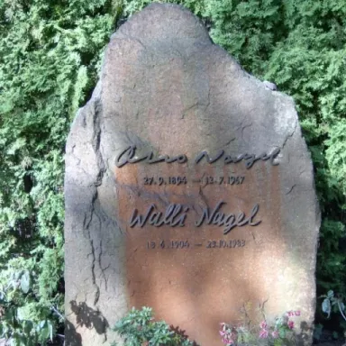 Tom Nagel profile photo