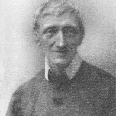 Stephen D. Newman profile photo