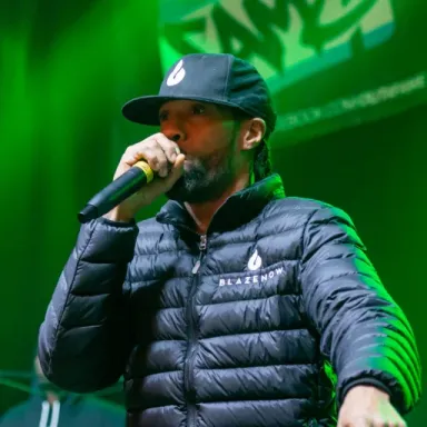 Redman (rapper) profile photo