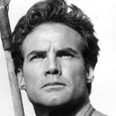 Steve Reeves profile photo