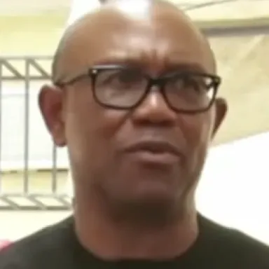 Peter Obi profile photo