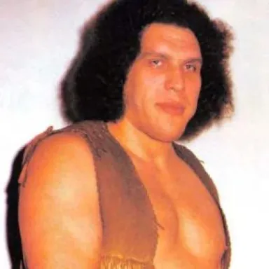 André the Giant profile photo