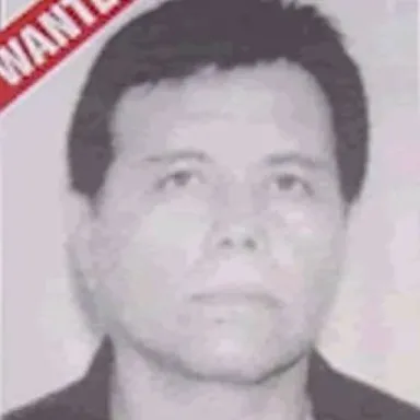 El Mayo profile photo