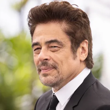 Benicio del Toro profile photo