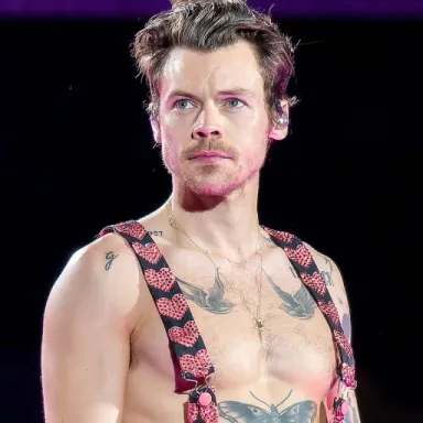 Harry Styles profile photo