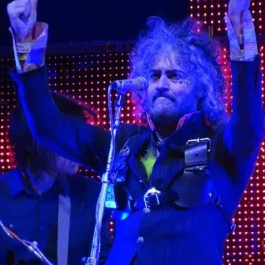 Wayne Coyne profile photo