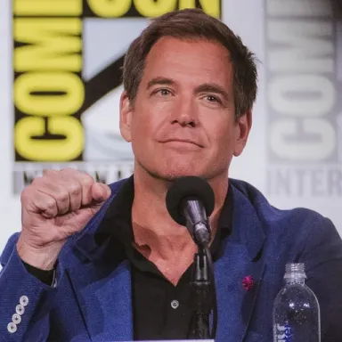 Michael Weatherly profile photo