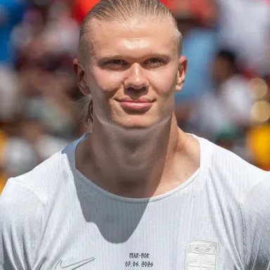 Erling Haaland profile photo