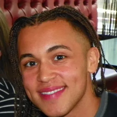 Shaheen Jafargholi profile photo