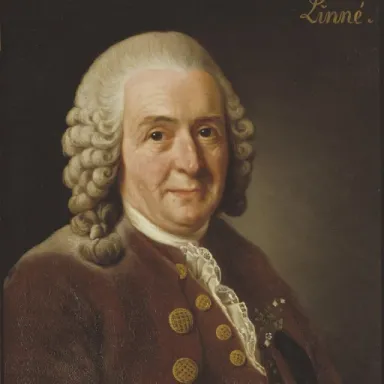 Carl Linnaeus profile photo