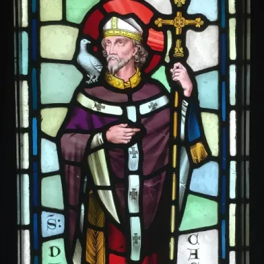 Saint David profile photo