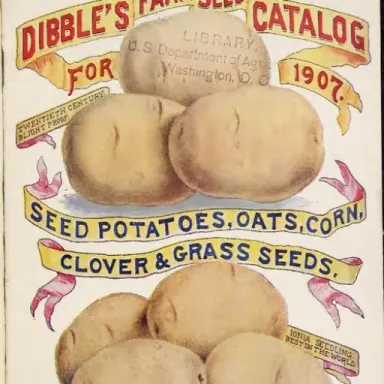 James Dibble profile photo
