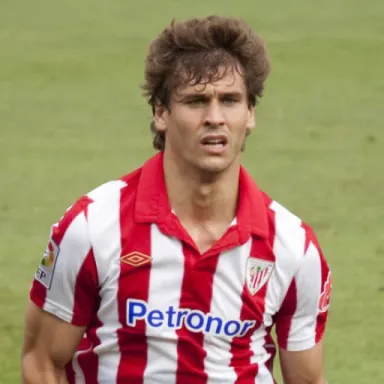Fernando Llorente profile photo