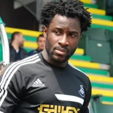Wilfried Bony profile photo