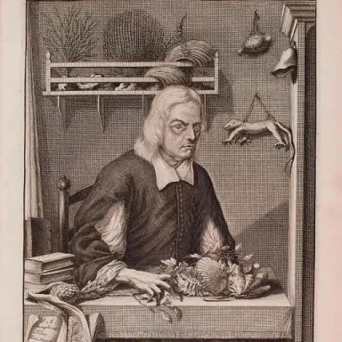 Georg Eberhard Rumphius profile photo