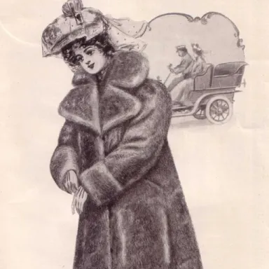 Opossum Lady profile photo