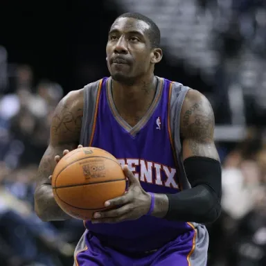 Amar'e Stoudemire profile photo