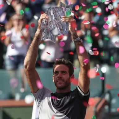 Juan Martín del Potro profile photo