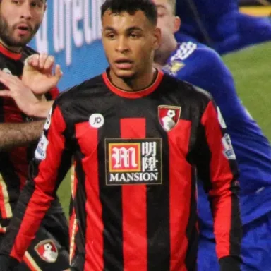 Joshua King (footballer, born 1992) profile photo