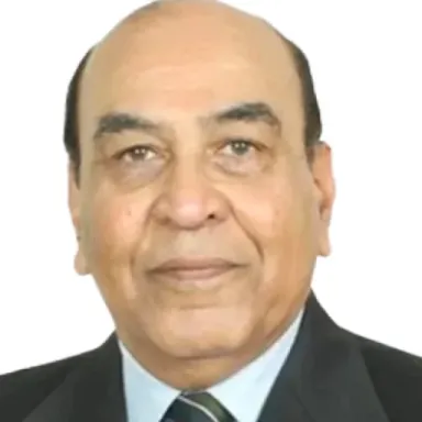 Syed Ata Hasnain profile photo