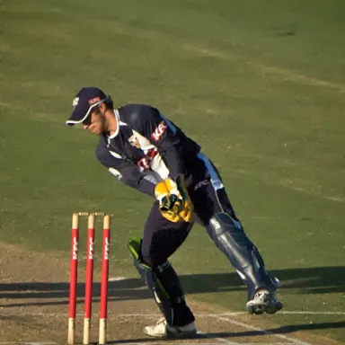 Matthew Wade profile photo