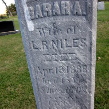 Sarah Niles profile photo