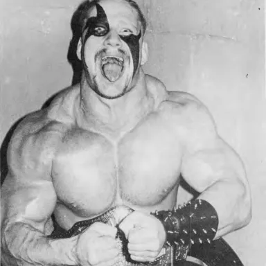 Road Warrior Hawk profile photo