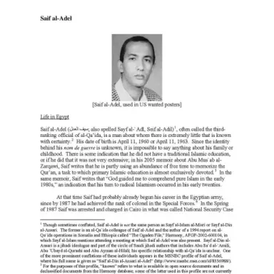 Saif al-Adel profile photo