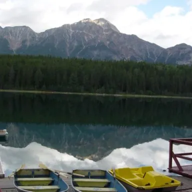 Patricia Lake profile photo