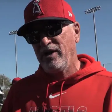 Joe Maddon profile photo